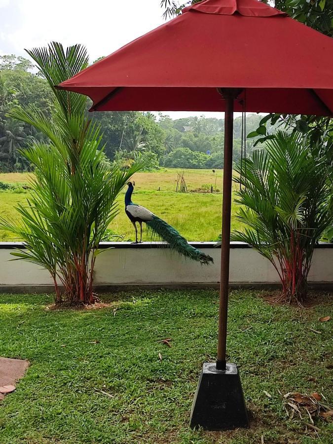 Villa Red Pool Hikkaduwa Exterior photo